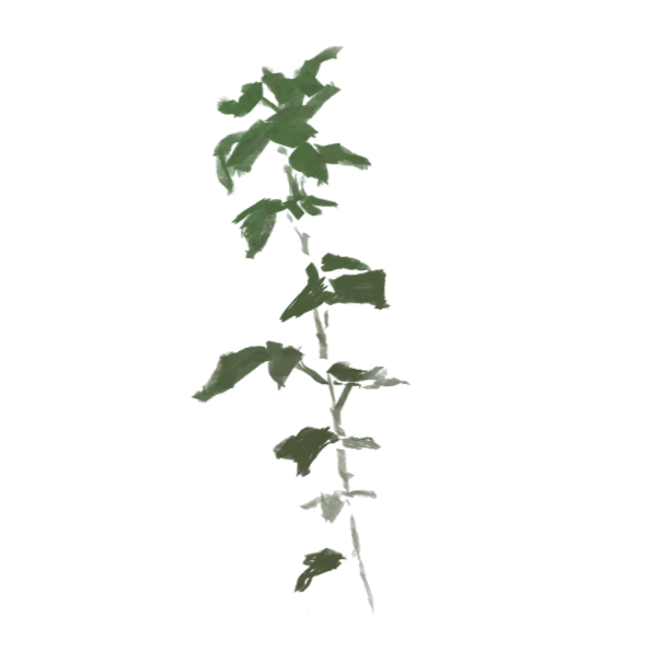 mmplant.png